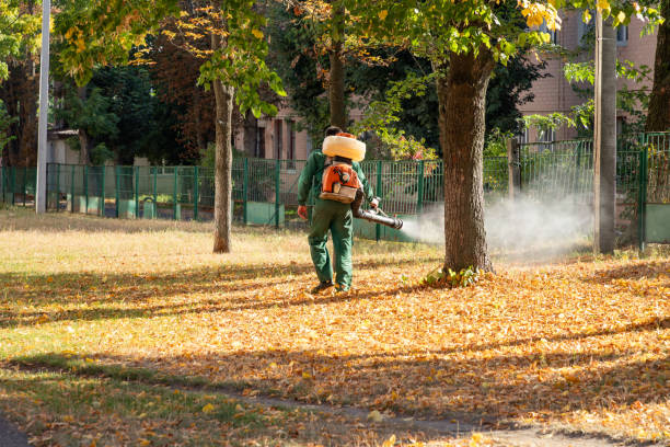 Best Spider Control Near Me  in Smithville, OH